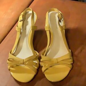 Predictions Yellow wedges